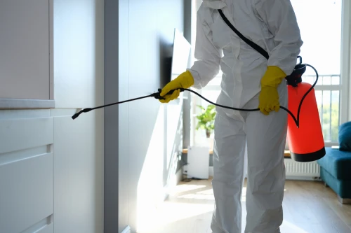 Pest control expert treating home corners