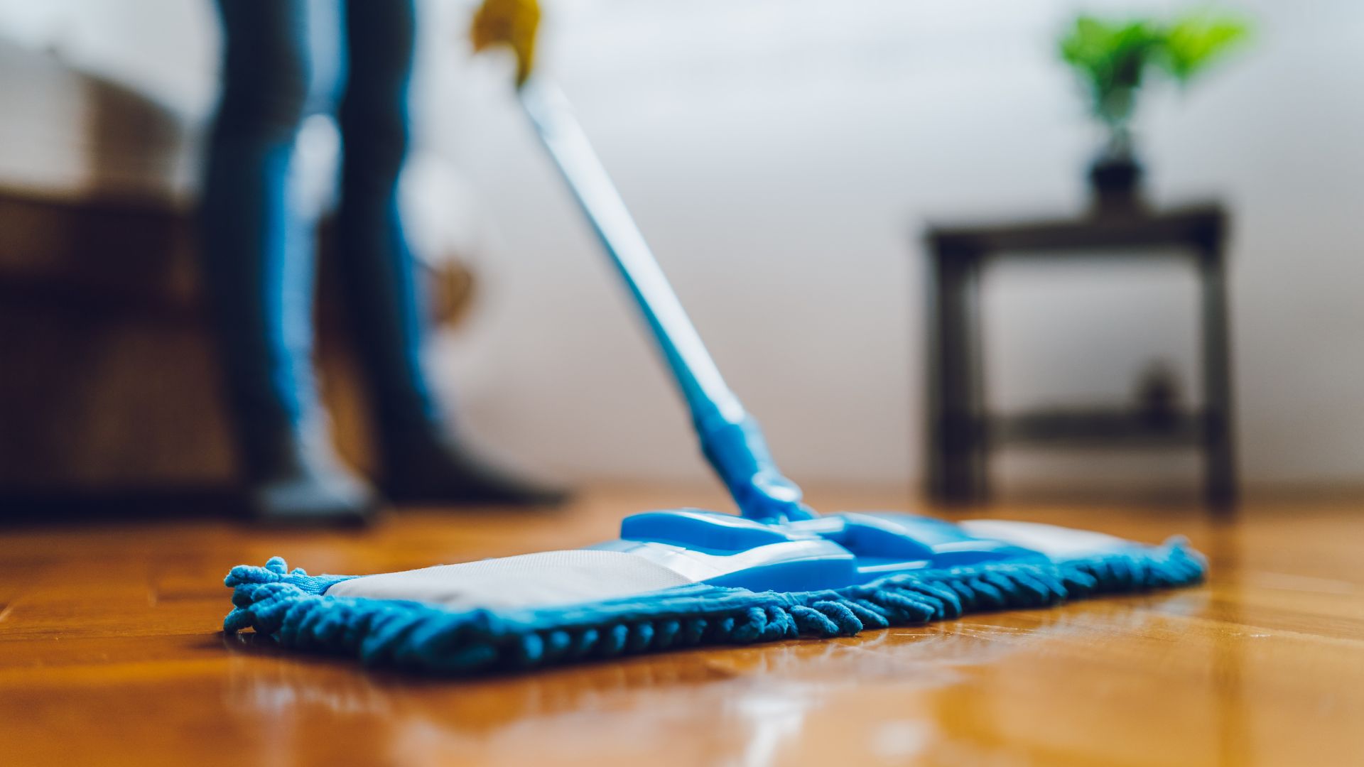 Home Cleaning Costs